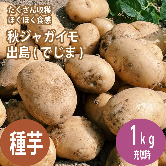 楽天市場】たねいも トヨシロ じゃがいも種子 北海道産 混合