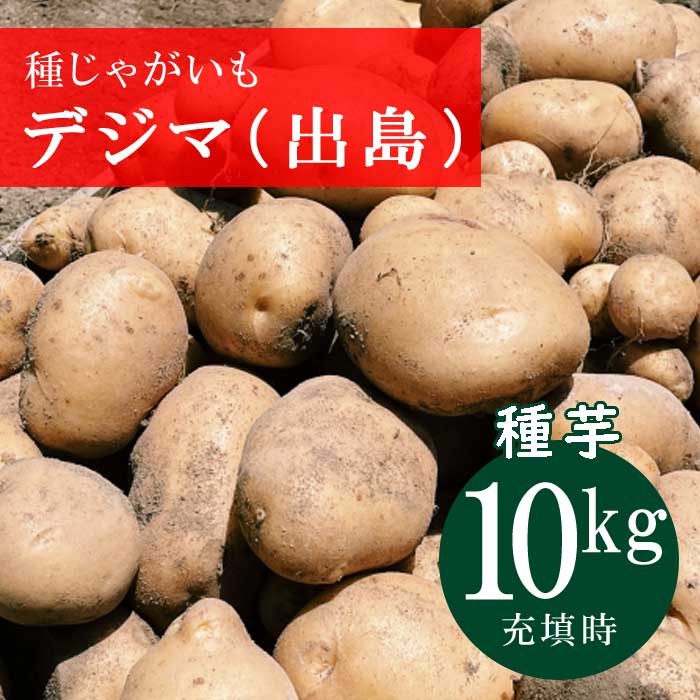 楽天市場】ジャガイモ 種芋 じゃがいも 500g 選べる品種 男爵