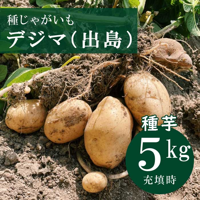 楽天市場】ジャガイモ 種芋 じゃがいも 500g 選べる品種 男爵