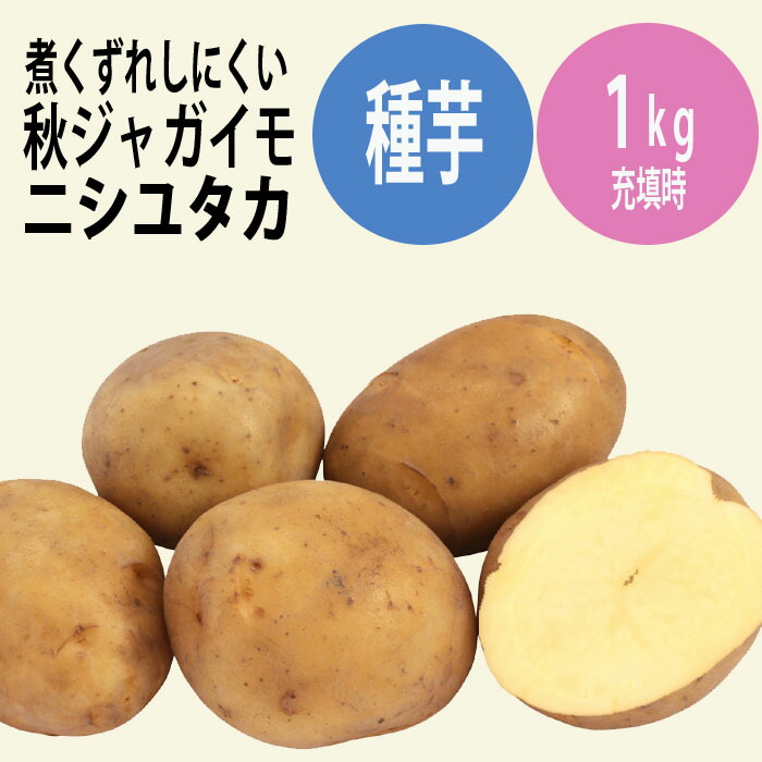 【さちや】トヨシロ じゃがいも 種芋 20kg さちや様専用】トヨシロ じゃがいも 種芋 20kg - メルカリ
