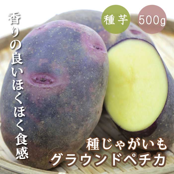 賜物 インカのめざめ デストロイヤー グラウンドペチカ グランドペチカ 種芋 苗
