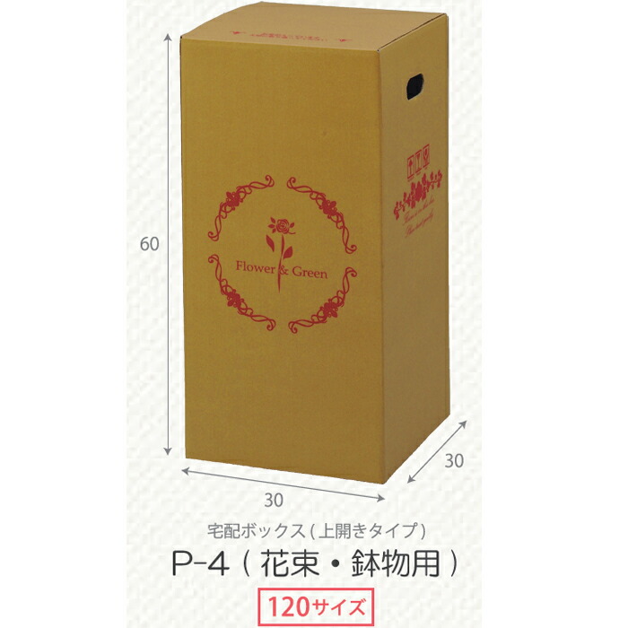 ダンボール 段ボール箱 白 宅配 120 サイズ フラワー用宅配箱 20枚 (0077) PGFbBt9iye, 梱包、テープ -  centralcampo.com.br