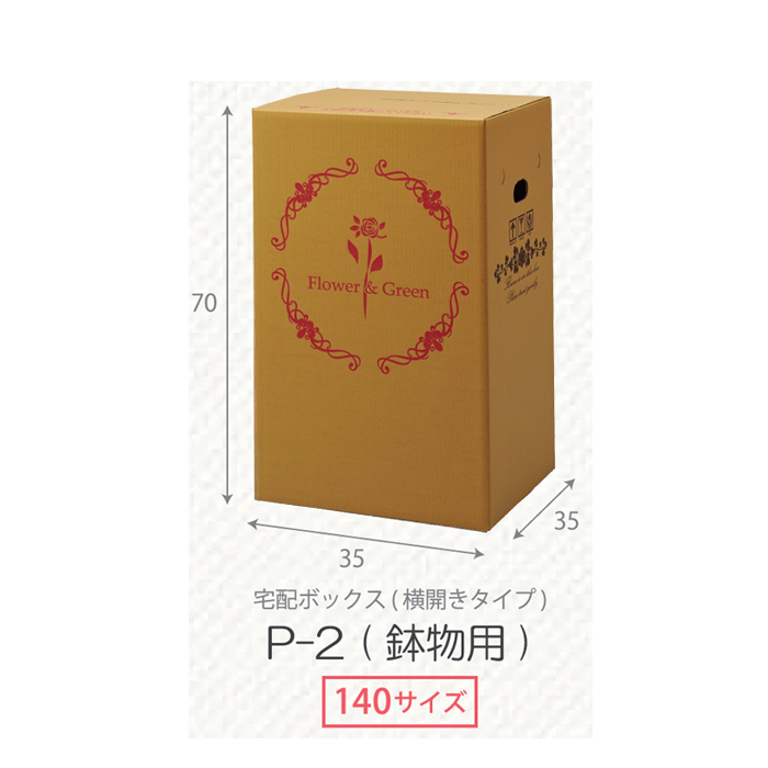 8794円 豪奢な 宅配ボックス E-Box-3 大型アレンジメント 5〜6寸鉢物用 ×30組 花材 資材 配送ボックス 2016si