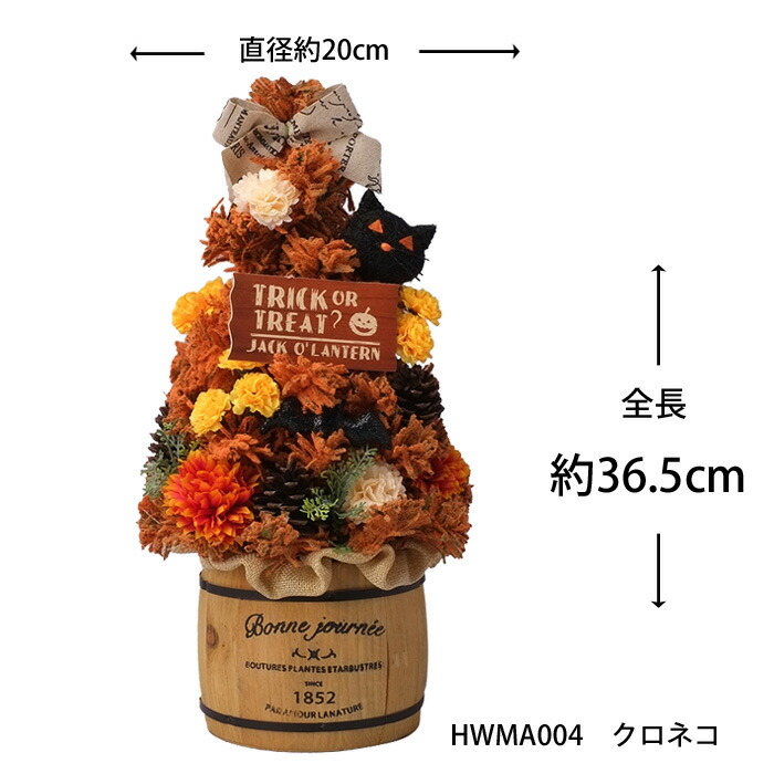 楽天市場】花資材 卸価格 【屋号必須個人不可】【フラワースタンド90cm】 ホワイト 12台セット 祝い花 開店花 折り畳み パイプスタンド 1台@ 1,400FS90-W : 花資材 ハナプラ 楽天市場】花資材 卸価格 【屋号必須個人不可】【フラワースタンド90cm】 ホワイト 12台セット 祝い花 開店花 折り畳み パイプスタンド 1台@ 1,400FS90-W : 花資材 ハナプラ