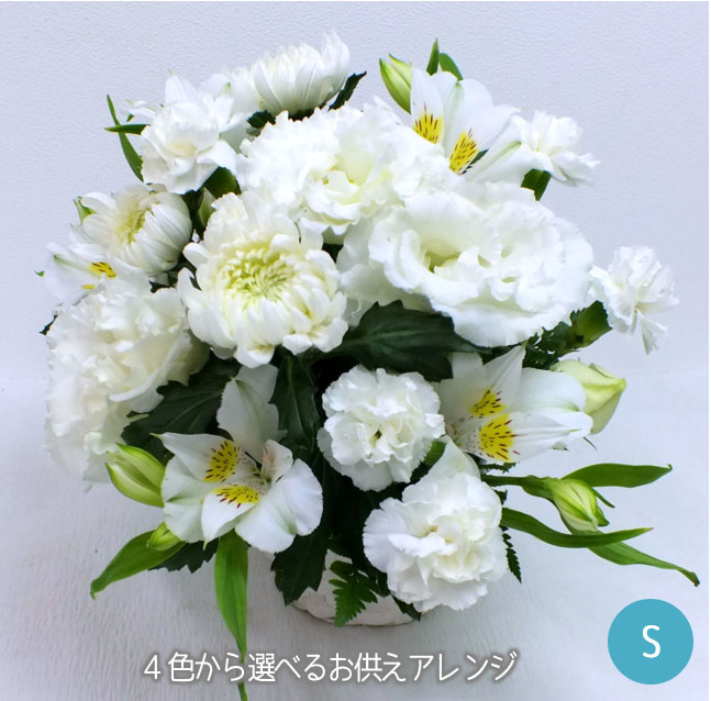 4色から選べるお供え 花 メモリアル アレンジメント Sサイズ お供えの花 お供え花 生花 お花 フラワー アレンジ ギフト お悔み お悔やみ 法事 四十九日 お供え 御供え 一周忌 三回忌 命日 故人 お盆 超大特価