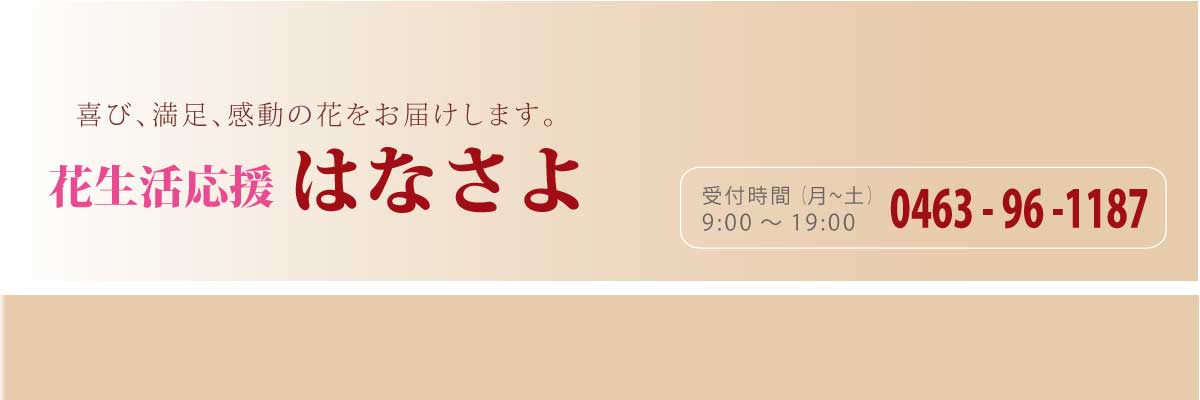 硡Ϥʤ衧ӡ­ưβ֤Ϥޤ