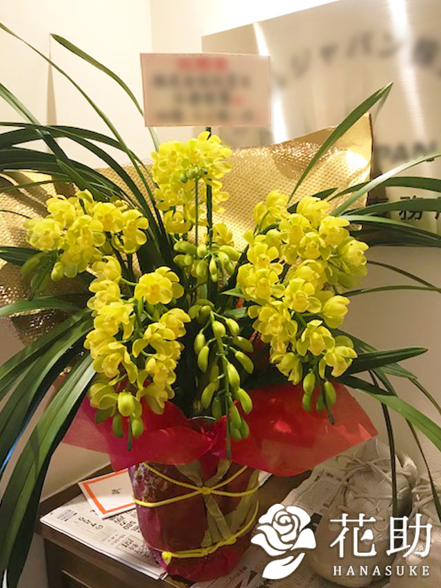 胡蝶蘭をはじめとする豪華な花鉢開店祝いお祝い花開店胡蝶蘭祝花 手渡し 配送無料移転祝い東京大阪カード無料画像送信日時指定可能昇進昇格祝いビジネスイベントメッセージカード無料フラワーギフト 手渡し 配送無料名札またはカード付きフラワーコンシェルジュが厳選