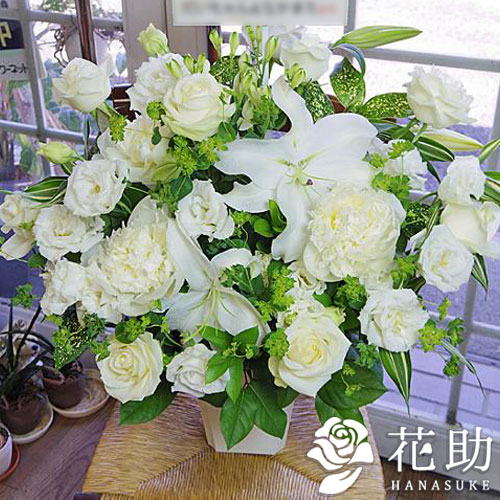新作のお祝い 花 開店 アレンジメント 祝花 東京 大阪 名古屋 福岡 無料名札 画像送信 日時指定可能 結婚記念日 誕生日 ラッピング無料 メッセージカード無料 フラワーギフト 手渡し 配送無料 名札またはカード付き 画像報告 フラワーコンシェルジュが厳選した 新作のお祝い 花 開店 アレンジメント 祝花 東京 大阪 名古屋 福岡 無料名札 画像送信 日時指定可能 結婚記念日 誕生日 ラッピング無料 メッセージカード無料 フラワーギフト 手渡し 配送無料 名札またはカード付き 画像報告 フラワーコンシェルジュが厳選した