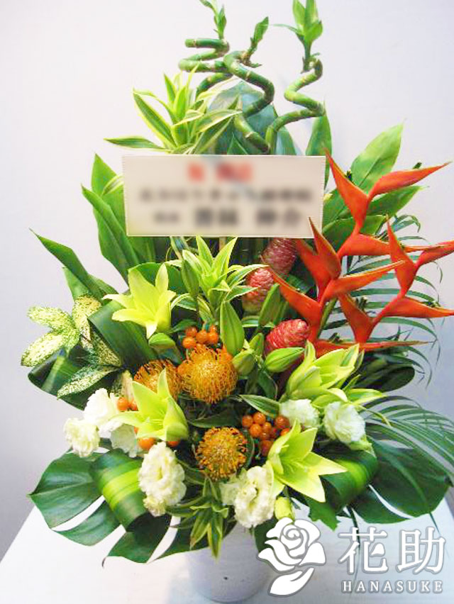 正規品 モンステラ入りアレンジメント花 フラワーコンシェルジュが厳選した花屋の モンステラ入り アレンジメント花円 花色は選べる25色 配送 名札 画像 開店祝い 移転祝い 発表会 ビジネスイベントなどのお祝いに 受賞店舗 Www Lexusoman Com