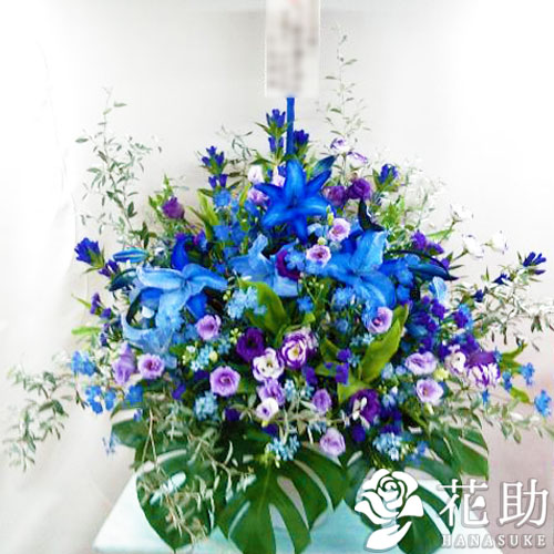 限定価格セール 楽天市場 モンステラ入りアレンジメント花 フラワーコンシェルジュが厳選した花屋の モンステラ入り アレンジメント花円 花色は選べる25色 配送 名札 画像 開店祝い 移転祝い 発表会 ビジネスイベントなどのお祝いに 花助 楽天