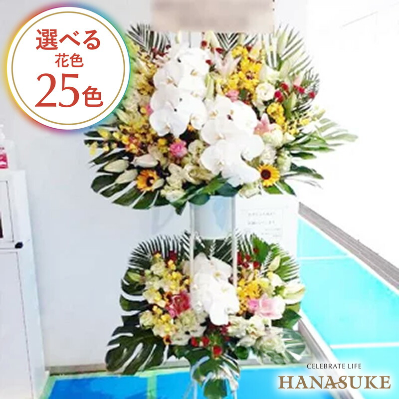 【貨物輸送無料・手渡しお届け】 開店祝い事 祝花 花助が厳選したフローリストのモンステラ入り口・入口祝い事照明ランプ花2段 35000円 花の冠 フラスタ 選べる花色は25色 送りとどける無料 名札付き添い人 すがた絵ニュース記事 備え付けるリコール無料 相応う 名札無料 開業祝い事 開院祝