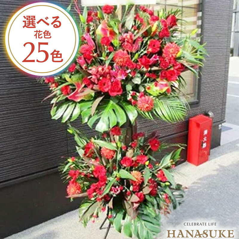 【貨物輸送無料・手渡しお届け】 開店お祭り 祝花 花助が厳選したフローリストのモンステラ入り口・入口喜び事照明ランプ花2段 36000円 花の冠 フラスタ 選べる花色は25色 送りとどける無料 名札付き添い人 すがた絵ニュース記事 備えつけるリコール無料 相応う 名札無料 開業お祭り 開院祝 フラワーアレンジメント-花・ガーデン・DIY