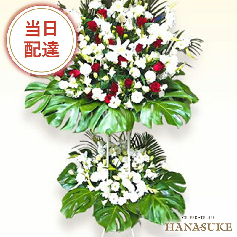 とても喜ばれる圧倒的御出でになる感の照明ランプ花2段 27000円 花 フラスタ 名札付き添い人 すがた絵ニュース記事 据え付ける・リコール無料 【相応う】名札無料 開業祝賀会 開院祝賀会