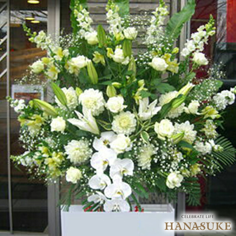 【派手おまかせのみ】「願望することが届く」か細いな形の照明ランプ花 1段 19000円 花 フラスタ   名札付き添い人 すがた絵ニュース記事 据え付ける・リコール無料 開店祝賀会 名札無料 開業祝賀会 開院祝賀会