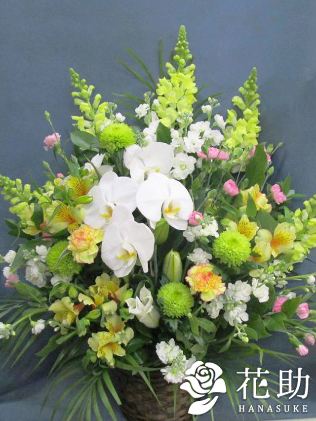 お花屋さんから手渡し届け 法事 法要 仏花 供花 送料 名札 画像無料 フラワーコンシェルジュが厳選した花屋の胡蝶蘭入りお供えアレンジメント円 即日 お悔やみ 無料名札 立て札 Massage Mit Herz De