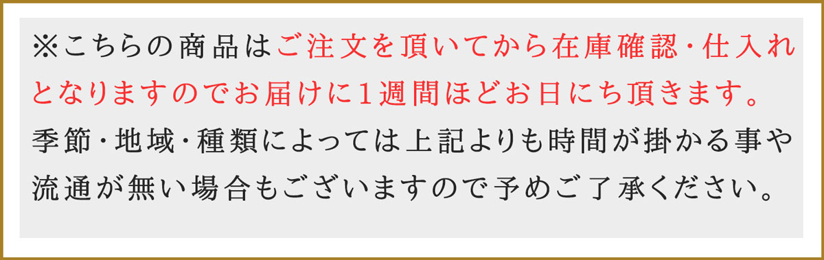 お花屋さんから手渡し届け 送料 名札 画像無料 おしゃれな鉢カバー入り観葉植物 シェフレラ ツピダンサス フラワーコンシェルジュが厳選した花屋のかご入り観葉植物 シェフレラ ツピダンサス 000円 開店 開院 開業 移転 引っ越し リニューアル Ejharrison Com