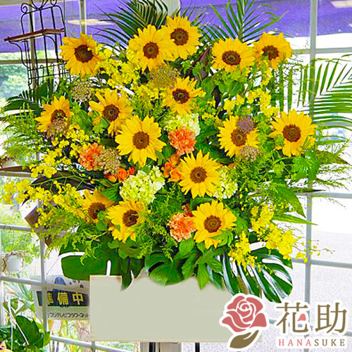 花 あす楽対応 花 観葉植物ひまわりフラワーコンシェルジュが厳選した花屋のひまわり入りスタンド花1段円開店祝い鉢花 花助店ヒマワリが入ったフラワーギフト 全国送料無料 即日配達 開店楽屋見舞い公演ビジネスイベントに 法人様には 領収書の発行が