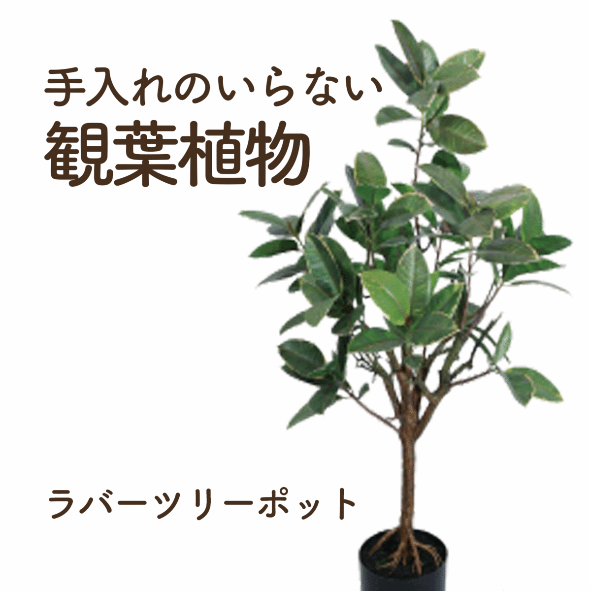 68 Off 送料無料 リアルな観葉植物イミテーション お手入れいらず 造花 本物