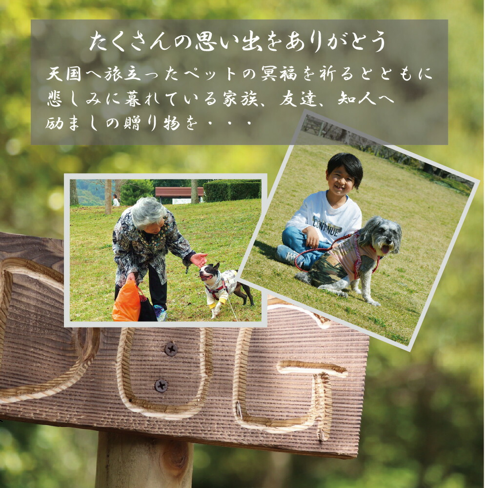 犬の置物 ジャックラッセルテリア 置物 うちの子わんこ 可愛いわんこのオブジェ ジャックラッセルテリアの置物