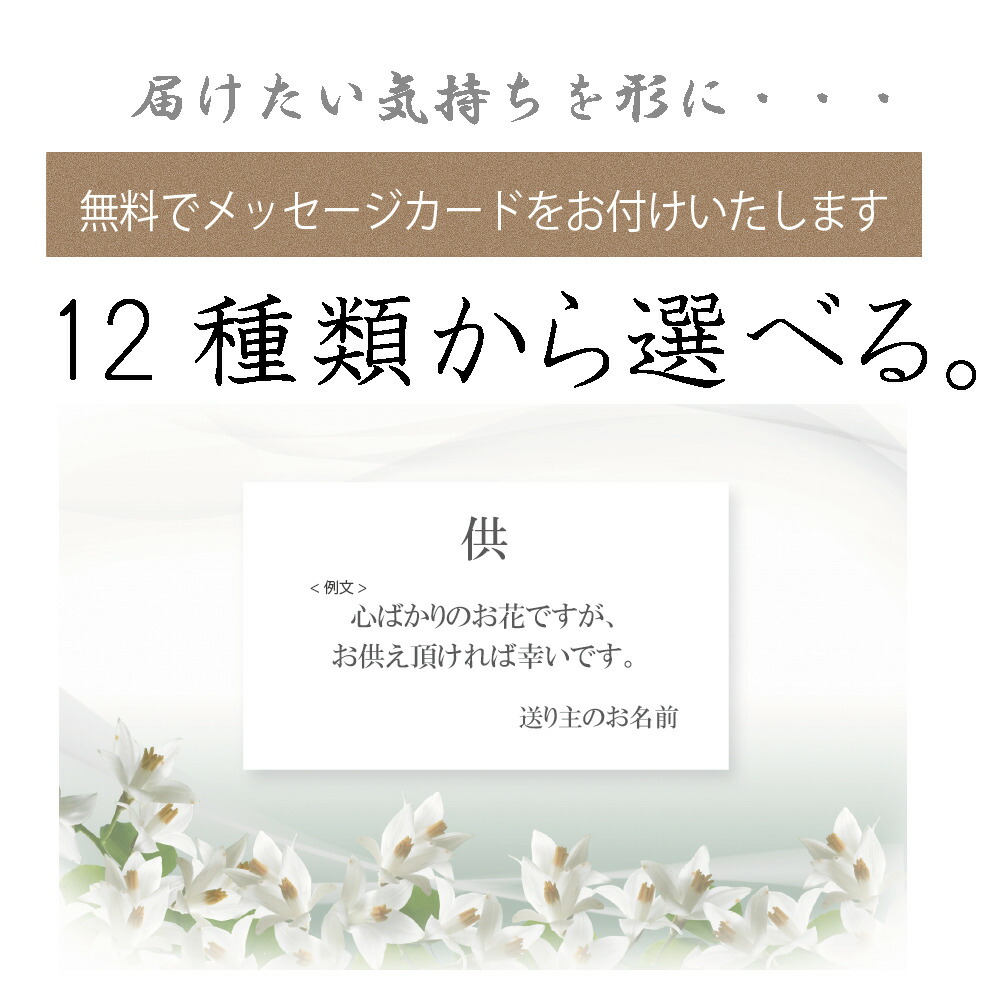 送料無料 プリザーブドフラワー仏花 お供え お供え物 お供え花 お悔やみ お盆 アレンジメント ギフト プリザ プリザーブドフラワー ペット  メッセージ 一周忌 三回忌 仏壇用 初盆 命日 四十九日 夏のギフト 帰省 御供 新盆 法事 法要 花 花巡 菊 贈り物 【未使用品】 御供