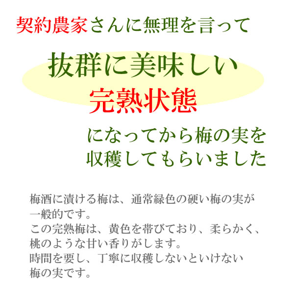 楽天市場 蓬莱泉 ほうらいせん 完熟梅でつくった梅酒 契約農家栽培梅使用 7ml ギフト プレゼント ランキング 人気 誕生日 内祝い お礼 お祝い お返し Goto ご当地 焼酎 日本酒 レア お酒 梅酒 美酒蔵 はなたれ屋