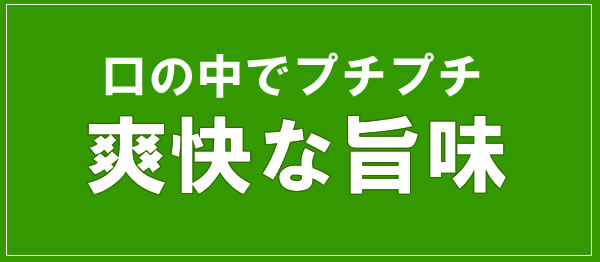 楽天市場 末廣 微発泡酒 ぷちぷち 7 300ml 日本酒 ギフト プレゼント ランキング 人気 お取り寄せグルメ 誕生日 内祝い お礼 お祝い 母の日 父の日 お返し和風 シャンパン 瓶内発酵 低アルコール パーティ 乾杯 美酒蔵 はなたれ屋