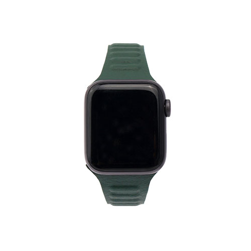 WEARPLANET Slim Line マグネットリンクバンド for Apple Watch 45/44/42mm Hooker's Green WP23193AWGR