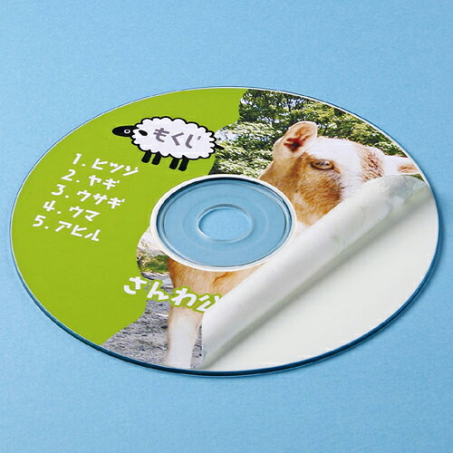 【10個セット】 サンワサプライ インクジェットDVD/CDラベル(つやなしマット) LB-CDR001NX10|ショップハナテック