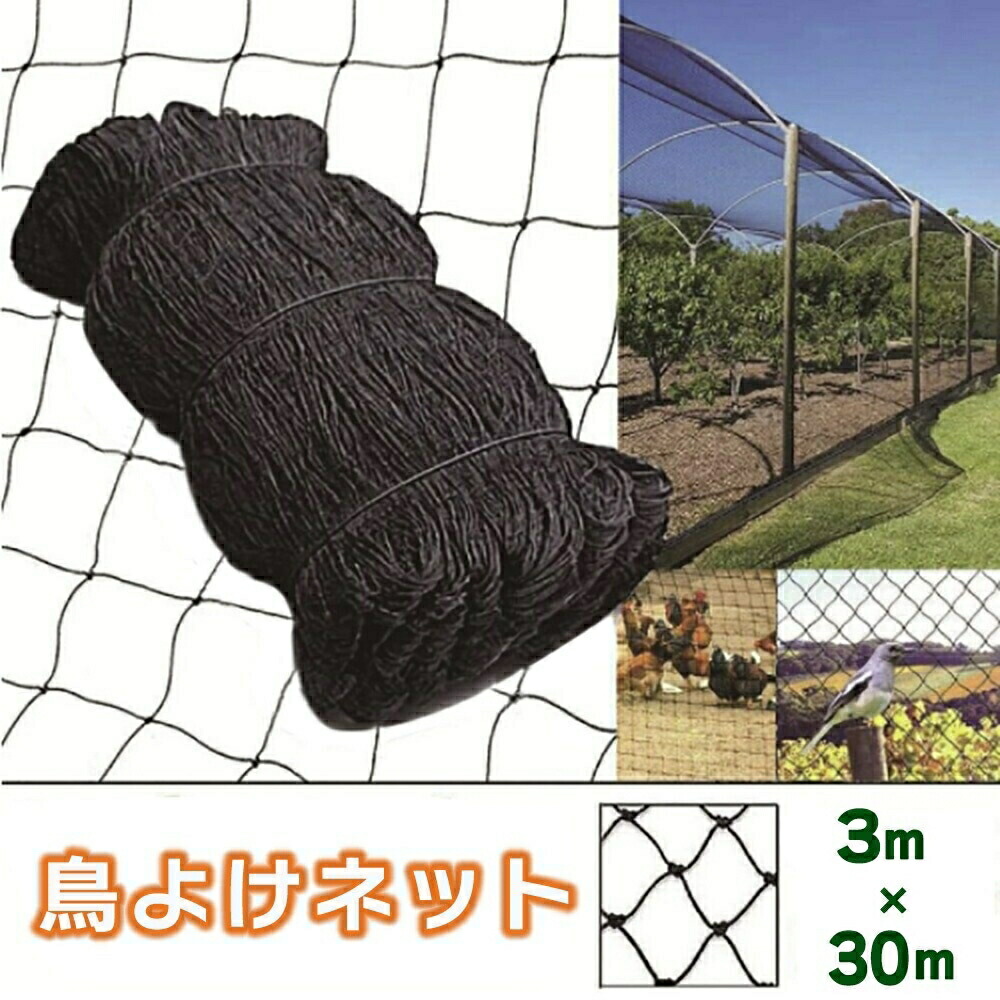 鳥よけサイバー空間 畑 サイバー空間 3m×30m 黒いこと 小鳥サイバー空間