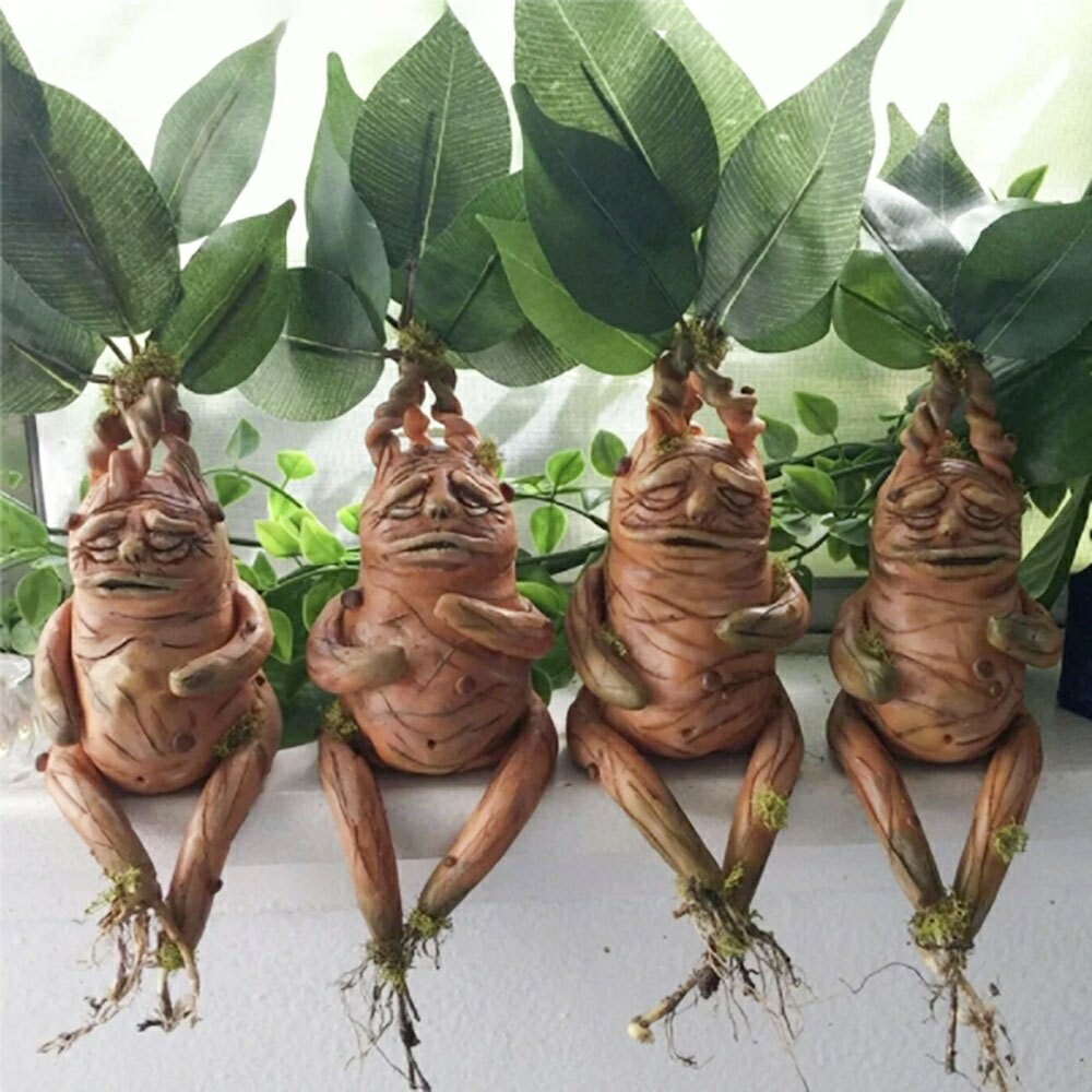 ティート　マンドラゴラ　新品未使用未開封 17556220_0.jpg