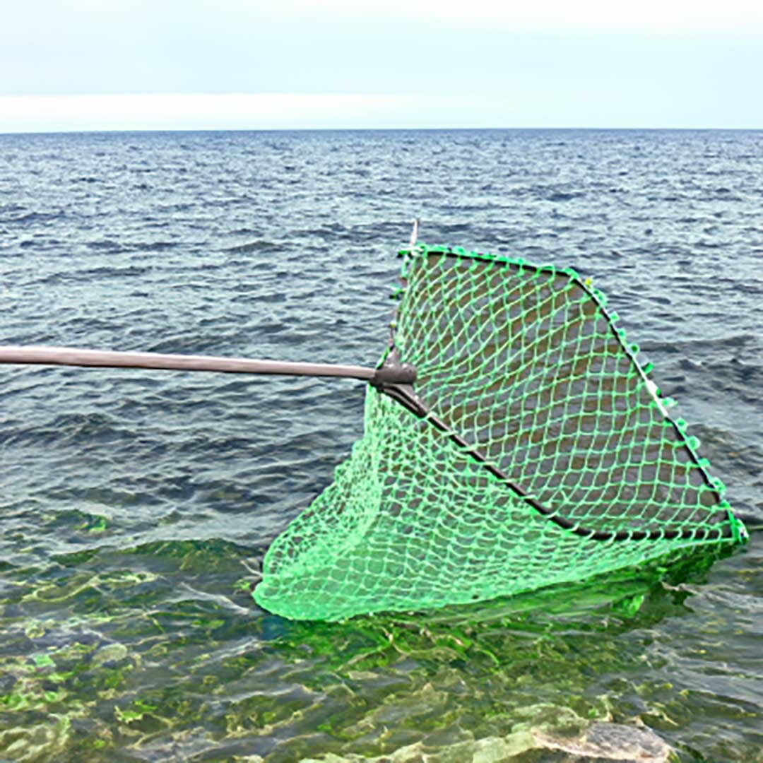 特大 タモ 網 サイバー空間 人も入れる大きいさ 特大網のタモ 魚釣り網 魚釣り