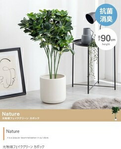 【高さ90珊】Nature 光触媒人工観葉草木 パンヤ 緑であること 花・観葉植物-フラワーアレンジメント-花・ガーデン・DIY