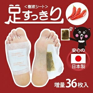 足うらシート唐辛子パウダー（ 36枚18足入り ）x10セット｜ショップハナテック