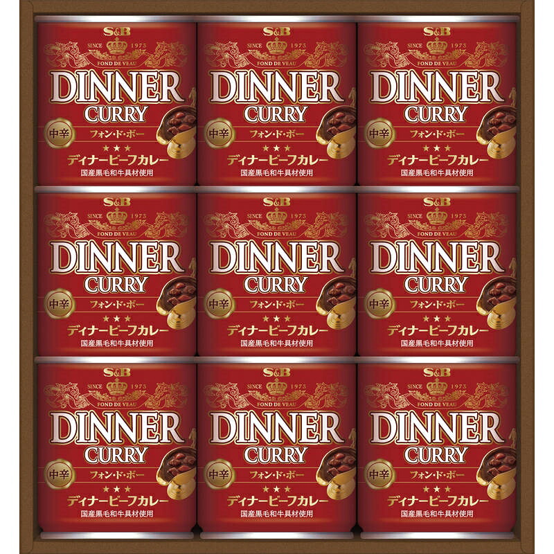 エスビー食品 ディナービーフカレー DC－45 17871