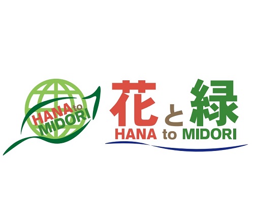 【送料無料】【100本セット】シロバナシラン/10.5cmポットしらん紫蘭苗植木苗木グランドカバー下草寄せ植え低木