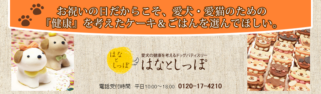 楽天市場 ペット ごはん おやつ 犬用 生きた栄養素いっぱい ごちそうテリーヌセット はなとしっぽ