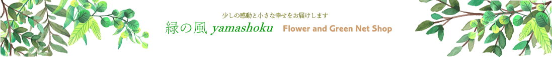 緑の風yamashoku：花苗から観葉植物・洋蘭まで緑の風yamashokuからお送りします。