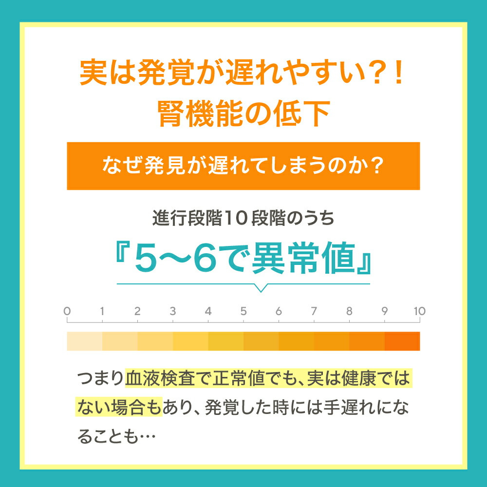 5歳からのケア 『JINパワー100』 イヌトウキ 犬 猫 腎臓 サプリ