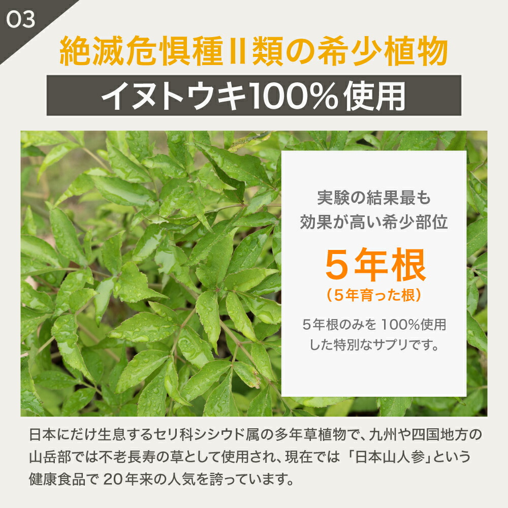 5歳からのケア 『JINパワー100』 イヌトウキ 犬 猫 腎臓 サプリ