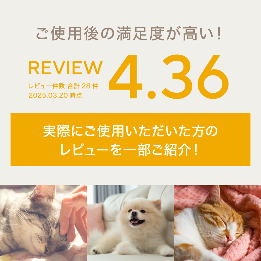 犬猫イヌトウキJINパワー100 5歳からのケア 楽天市場】5歳からのケア 『JINパワー100』 イヌトウキ 犬 猫