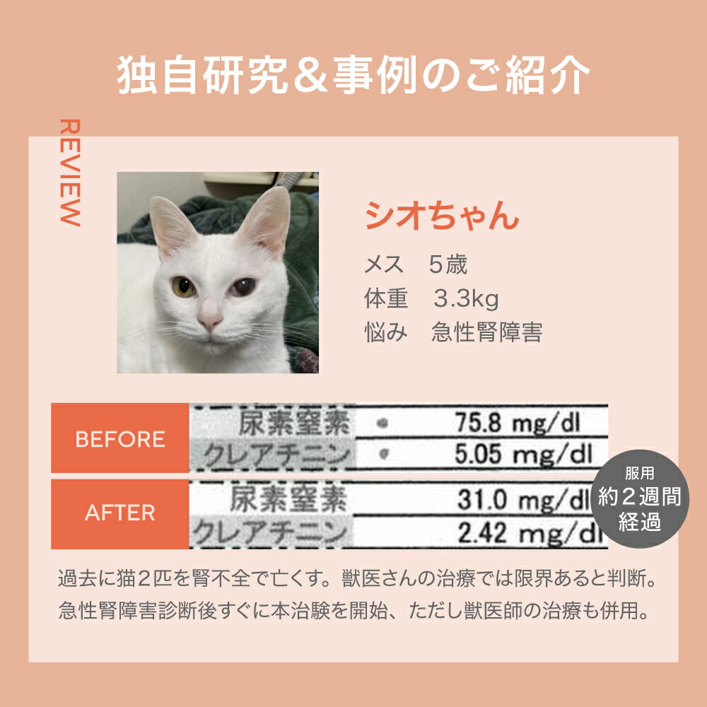 5歳からのケア 『JINパワー100』 イヌトウキ 犬 猫 腎臓 サプリ
