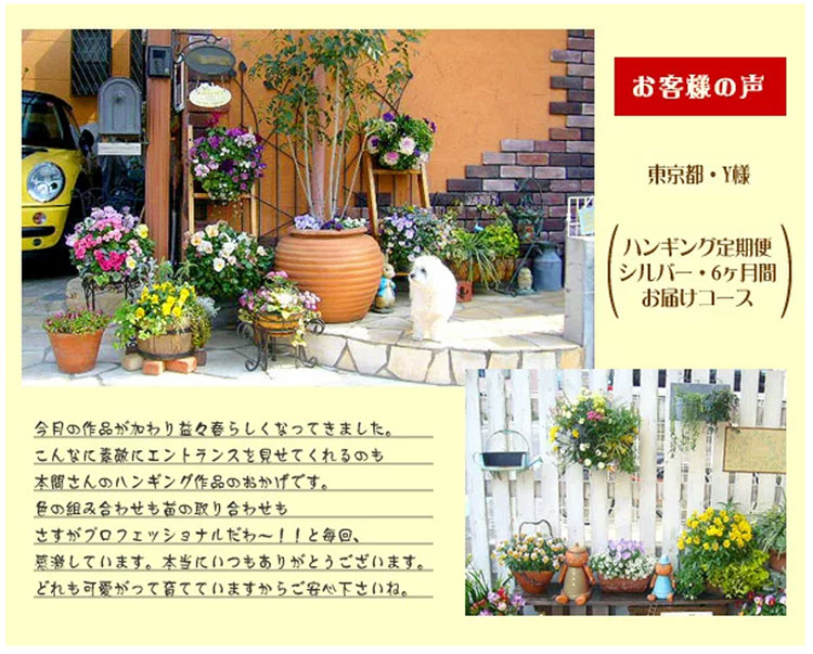 オンラインハンギング 寄せ植えの全作品 ハンギング定期便 毎月 隔月 でお届け 花うるる 花でうるおう毎日 定期的に届く 壁掛け花壇 のコレクション