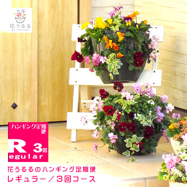 花花様お取り置き 花花様専用(お取り置き)