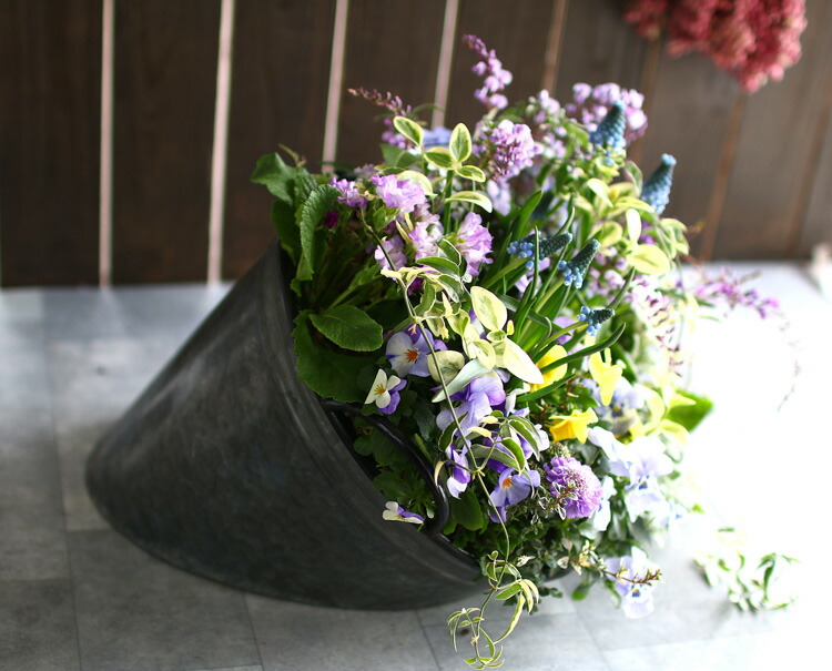 春の寄せ植え 花うるるアレンジ メタルポット 寄せ植え Mサイズ 寄植え ブリキ メタル ハンギング 花束 ギフト プレゼント 新築祝い 結婚祝い 誕生日 玄関 Mavipconstrutora Com Br