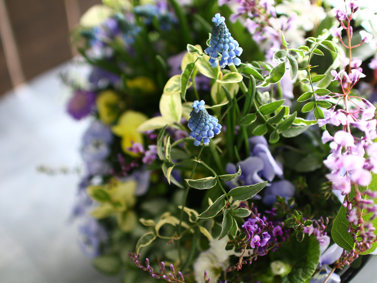 春の寄せ植え 花うるるアレンジ メタルポット 寄せ植え Mサイズ 寄植え ブリキ メタル ハンギング 花束 ギフト プレゼント 新築祝い 結婚祝い 誕生日 玄関 Mavipconstrutora Com Br