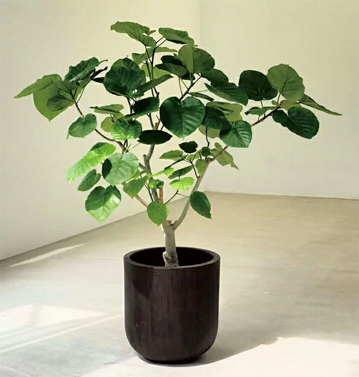 楽天市場 オーク Uポット F33 An Ou3331 Oak おしゃれ 大型 鉢 植木鉢 ガーデニング ポット プランター ファイバーセメント製 花うるる 花でうるおう毎日