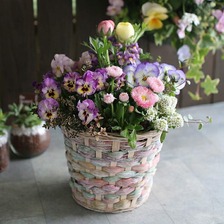 楽天市場 19種類の鉢から選べる ナチュラル感たっぷり かわいいポット型の寄せ植え 花うるる おまかせアレンジ 寄せ植え 春 夏 秋 冬 玄関 ベランダ 誕生日プレゼント 新築祝い 女性 送別会 入学 御祝い たる 花うるる 花でうるおう毎日