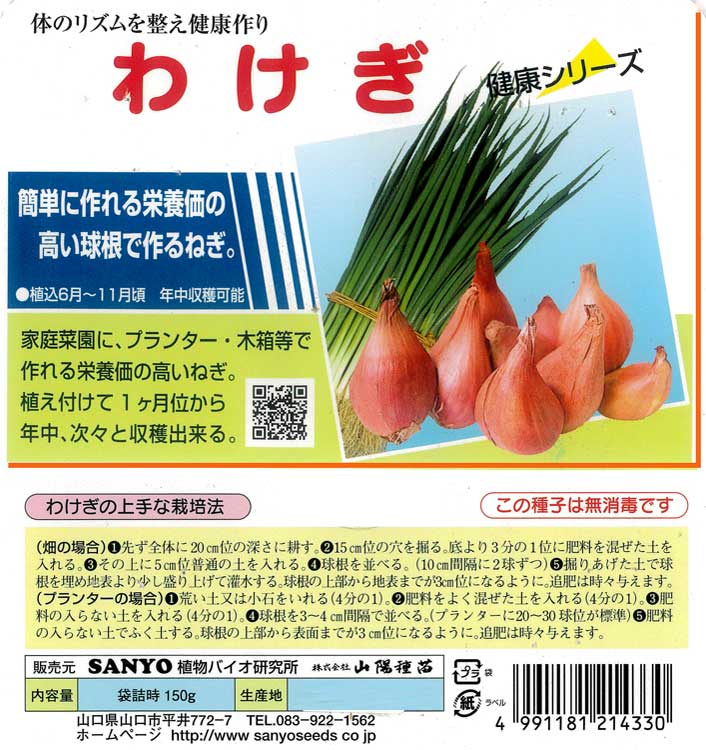 楽天市場 わけぎ 愛知県産 種子 150ｇ 分葱 わけぎ 球根 国産 種子 種 苗 家庭菜園 花うるる 花でうるおう毎日