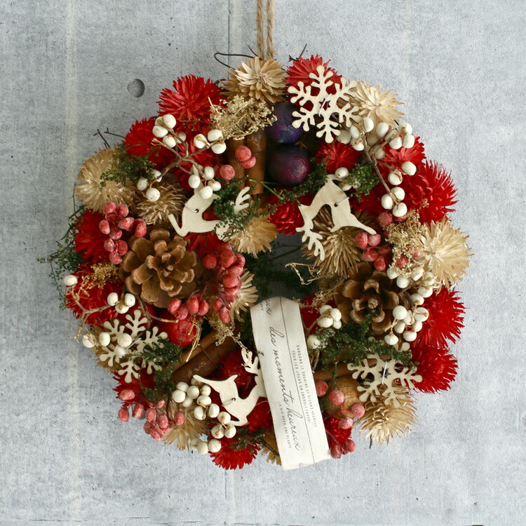 初売りセール 光触媒 クリスマスリース クレッセントリース カメリアラバー 大特価アウトレット Koehlerinstrument Com