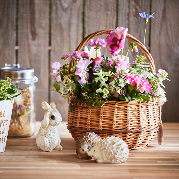 楽天市場 数量完全限定 送料無料 花うるるアレンジ かごの寄せ植え キャンディーバスケット ガーデニング 園芸 冬 春 ギフト 歓送迎 花 うるる 花でうるおう毎日